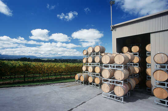 Wine stored in barrels at wineyard Yarra Valley Victoria Australia.