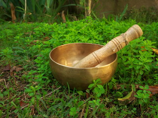 Singing bowl placed in the grass during the fall season