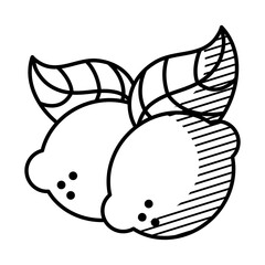 lemons icon image, line style