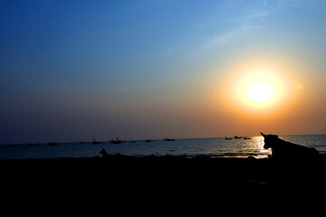 The sunset at a lovely beach crowded by peoples & animals