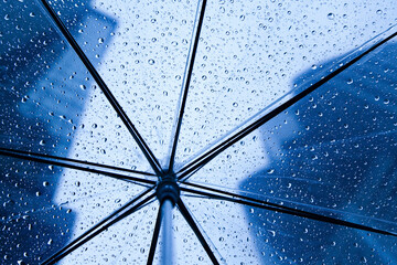 ビニール傘から見える雨のビル街