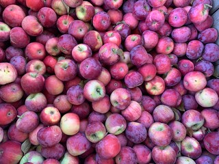 Manzanas y mas manzanas rojas deliciosas frescas listas para un delicioso jugo o un pay de manzanas.