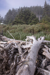 Indian point view point in Oregon, USA