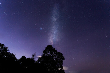 Milky Way. Night landscape