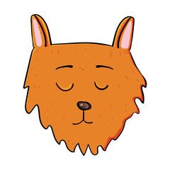 Beautiful Domestic animal, Cute kitty, Adult cat Vector doodle illustration. Kitten doodle