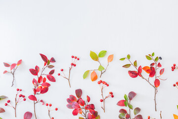 Flat lay pattern with colorful autumn leaves and apples on a white background