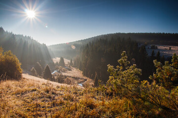 sun flares in the morning, autumn valley view with trees and blue sky, bohemian forest