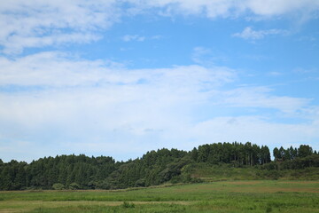晴れた空と広々とした草原 spacious grassland on a sunny day 2