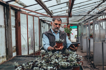 middle aged man working in greenhouse nursery