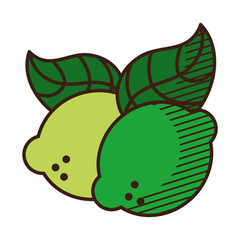 lemons icon image, hand draw style
