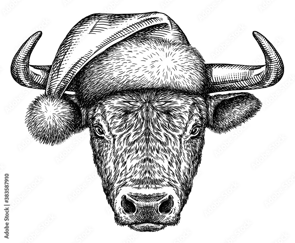 Wall mural black and white engrave isolated bull illustration