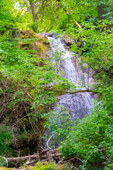 Waterfall in th forest