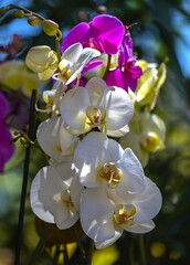 Bouquet of white, pink and yellow flowers on a green background.