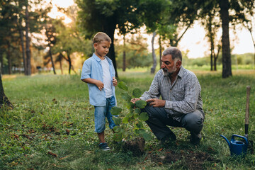 grandfather and grandson planting a plant in park
