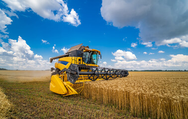 Obraz premium Agriculture machine harvesting crop in fields. Special technic in action. Agricultural technic in field. Heavy machinery. Blue sky above field.