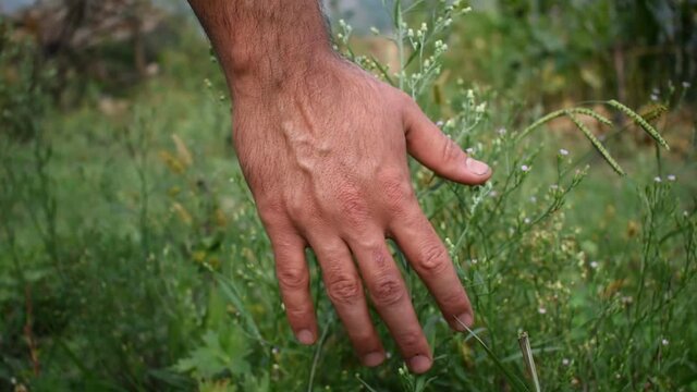 hands of the person in the forest