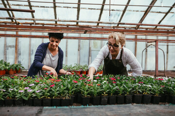 woman working in greenhouse nursery