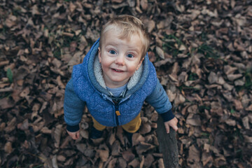 little boy in park, looking at camera, aerial view