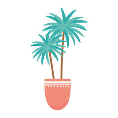 potted palms plant decoration isolated design white background