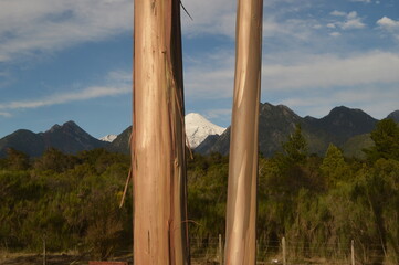 Autumn hiking in the mountains and lake district of San Martin de Andes in Argentina