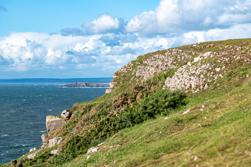 Carboniferous Limestone, Rhossili Bay, Gower Peninsula, Wales