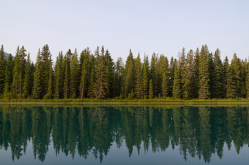 Fototapeta premium Bow River in the Morning