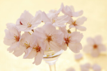 桜活け花