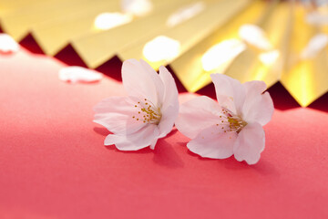Obraz na płótnie Canvas 桜の花びらと金扇子