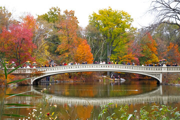 Central Park - New York City - Fall