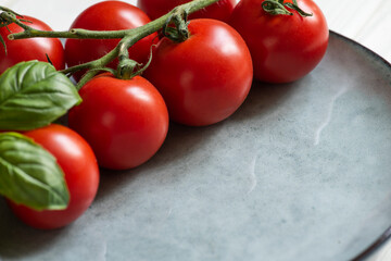 Branch with fresh red tomatoes on the plate with basil leaves