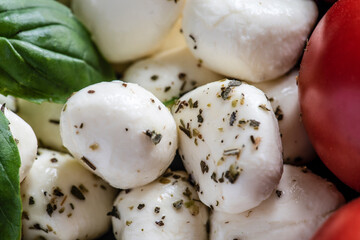 Mozzarella cheese with basil leaves and tomato. Macro.