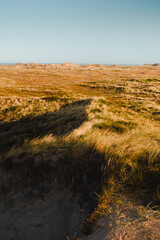 Wide panorama view of the coast dune landscape with colorful sunset light. Danish nature, Denmark, National Park Thy