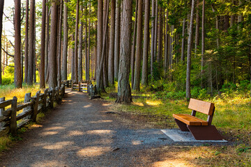 A beautiful closeup view of wooden log fences alongside hiking trails offering beach access...