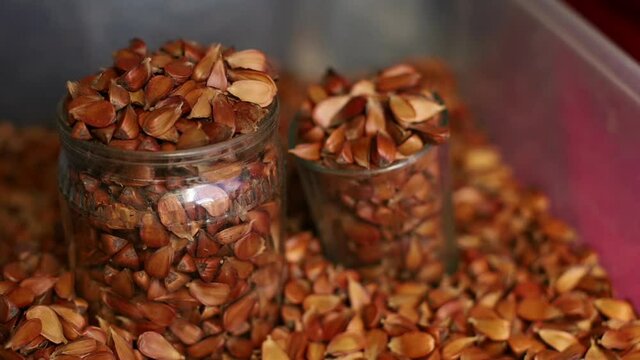 beech nuts in a Glass jar