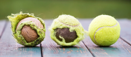 Chewed old used dirty and new tennis balls on wooden background. Web banner.