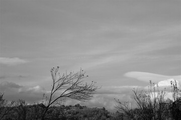 Black and white
