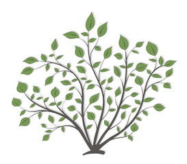 Bush plants with branches and green leaves on a white background