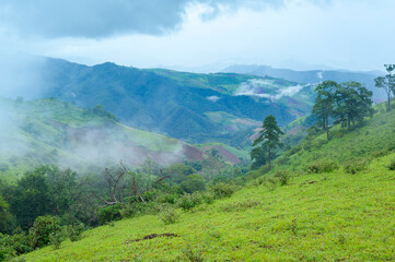 Obraz premium Beautiful green mountain view in rain season, Tropical climate .