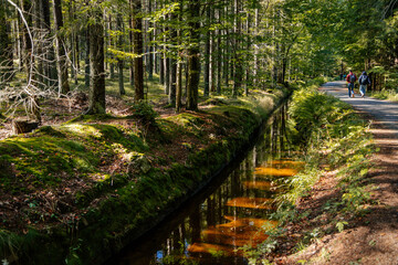 Unique historical Schwarzenberg canal transportation waterway in national park Sumava (Bohemian forest), Nova Pec, Czech Republic