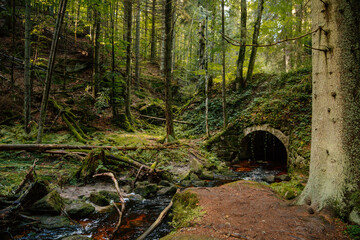 Mountain stream in the Bohemian Forest, Sumava national park, Nova Pec, Czech Republic