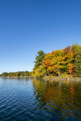 Trees on point of the lake in fall colors in Minnesota