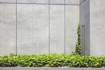 建物周辺の植栽