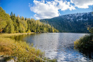 Plesne Lake in the Bohemian Forest, Sumava national park, Nova Pec, Czech Republic