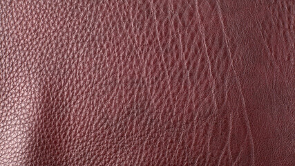 Fototapeta premium Brown cattle leather texture background