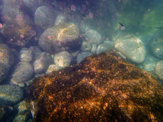 Paesaggio marino (134)