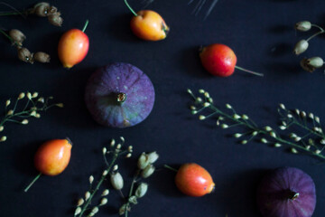 Fig and small apples, wild grass from field on black background. Food and flowers.