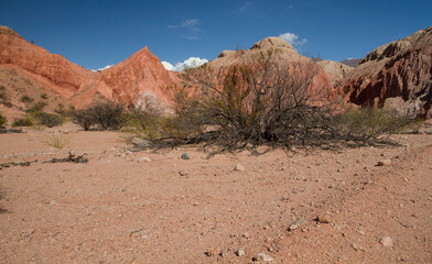 Desert landscape. View of the sand, red sandstone and rocky formations, hills, desert shrubs and bushes under a blue sky.