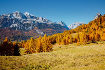 Great autumn scenery with magical yellow larches. Location place Dolomiti Alps, Italy, Europe.