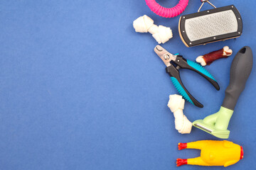 Pet accessories. Toys, equipment for grooming, treats on blue background. flat lay, copy space