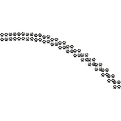 Footpath trail of animal. Dog or cat paws print. Trail footpath wildlife, footprint silhouette illustration